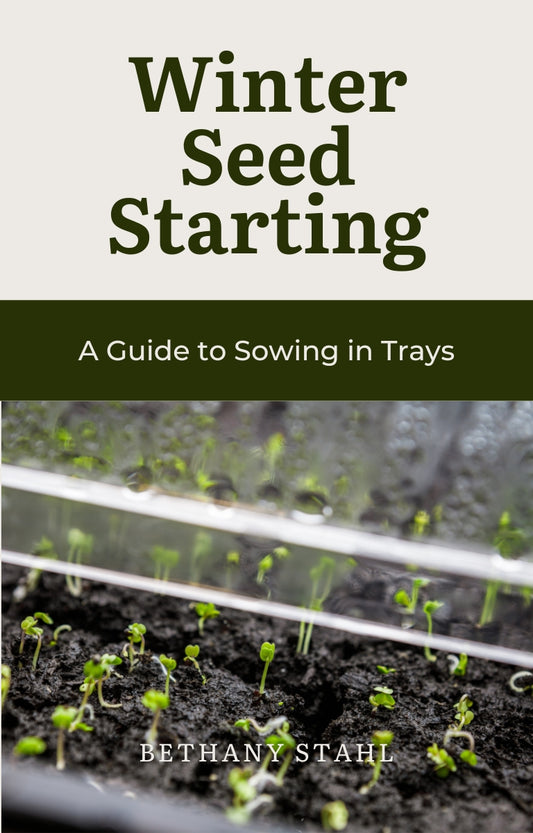 Seed Starting Guide