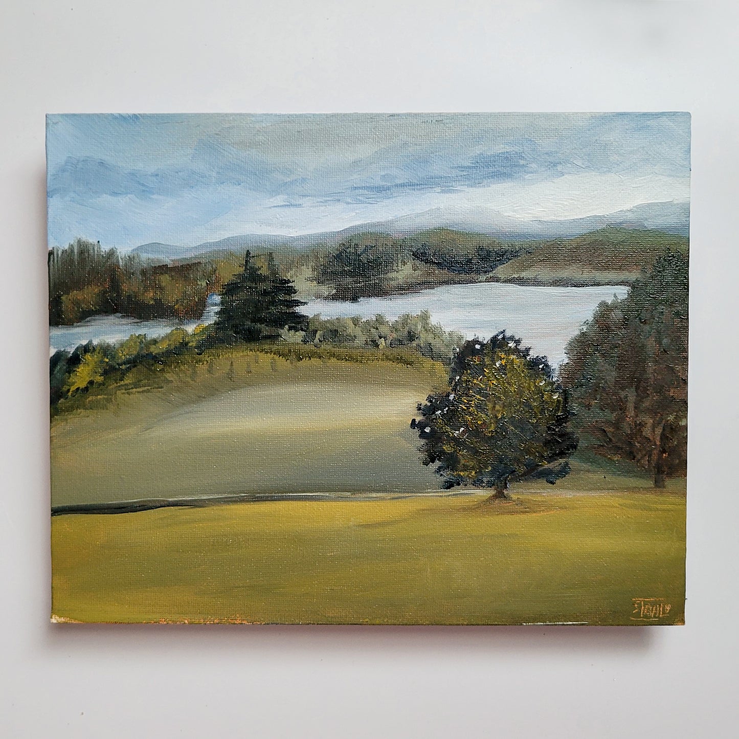 Lakeshore Park #2 Original Plein Air Oil Painting