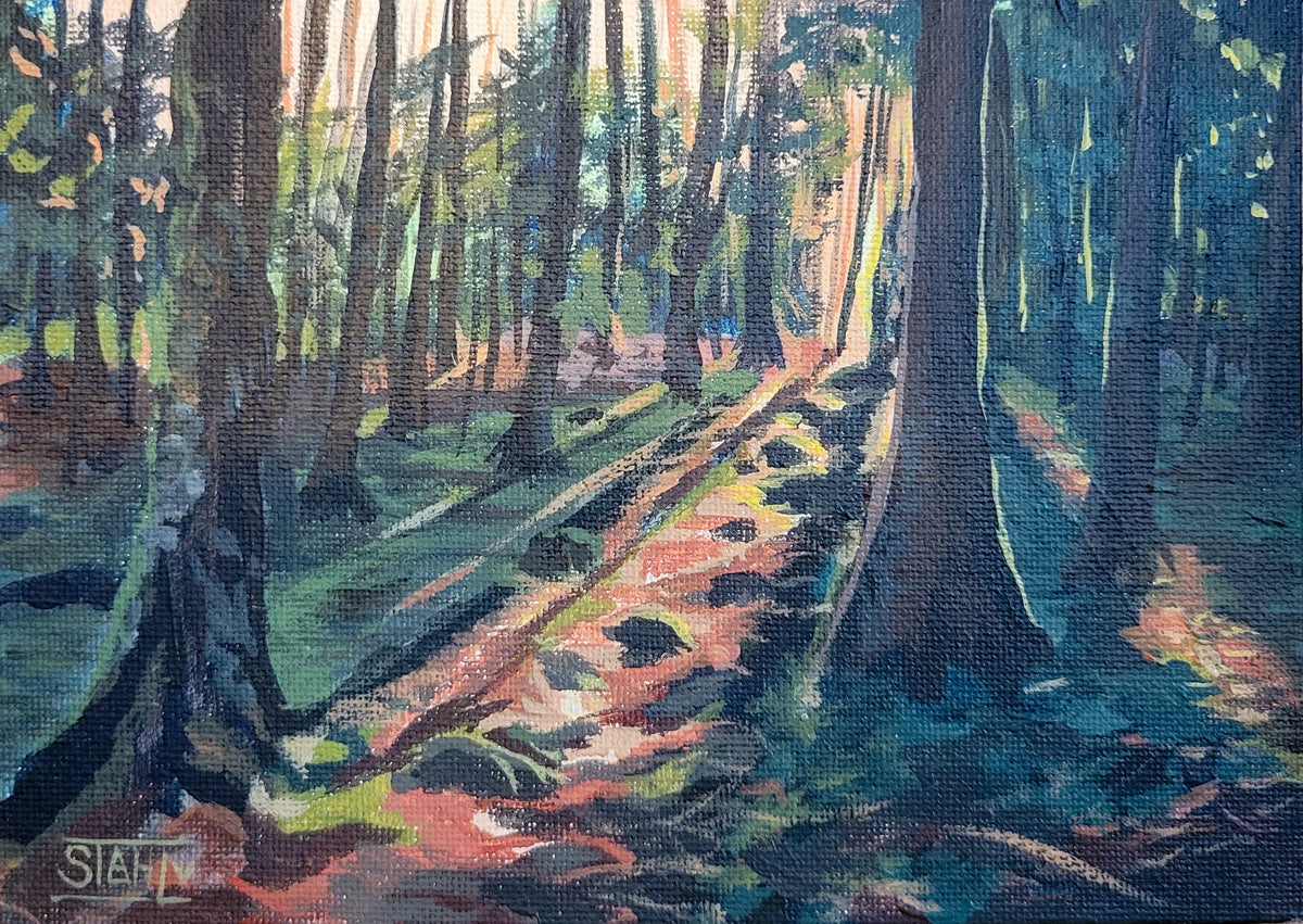 Forest Sunset