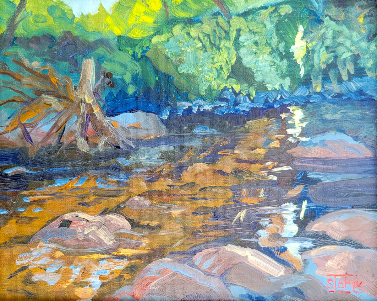 Beaverdam Creek