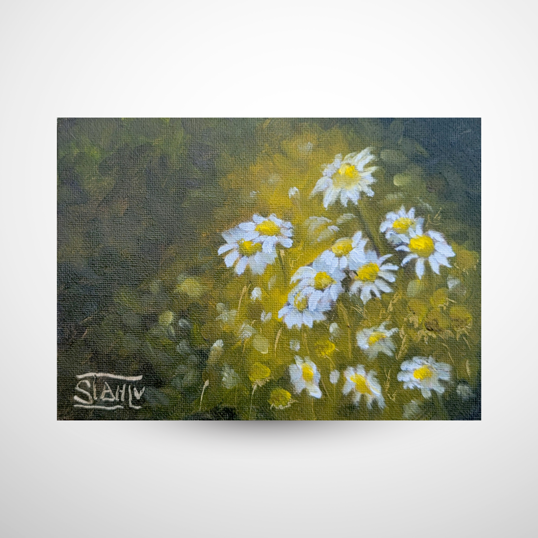 Chamomile