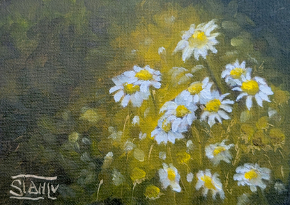 Chamomile
