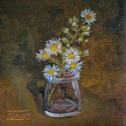 Frost Asters