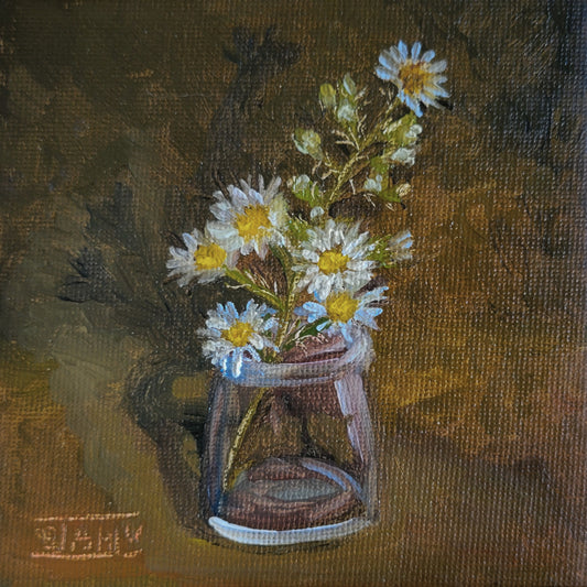 Frost Asters