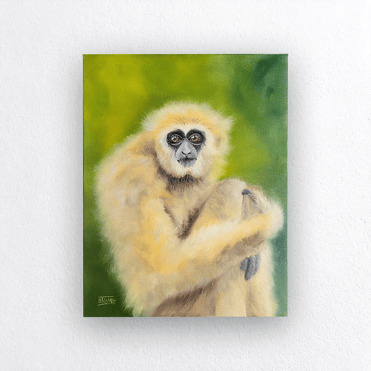 White-Handed Gibbon