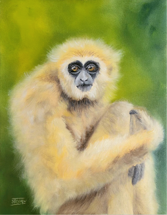 White-Handed Gibbon