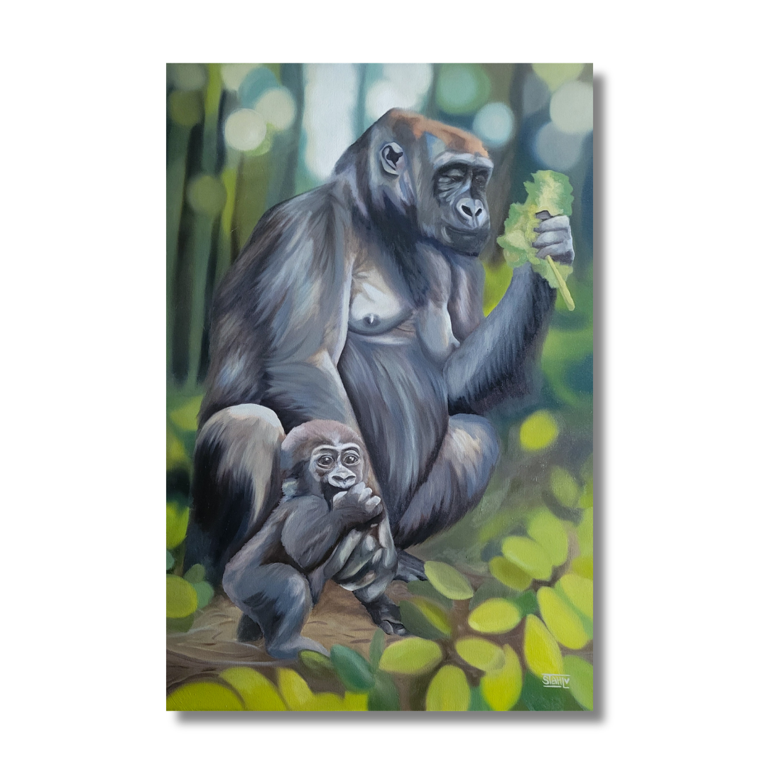 Gorillas