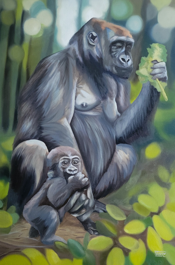 Gorillas
