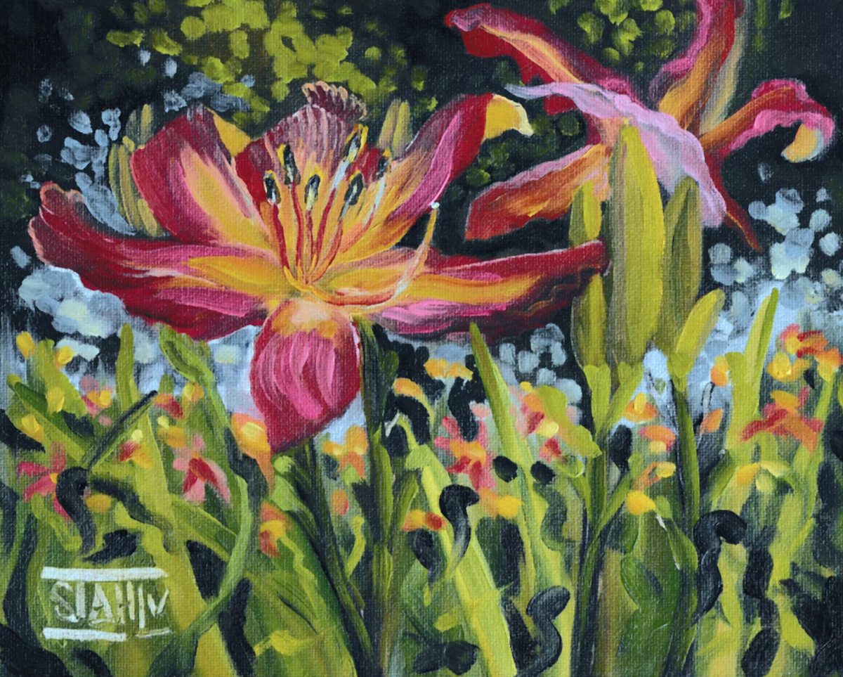 Lake Norman Spider Daylilies