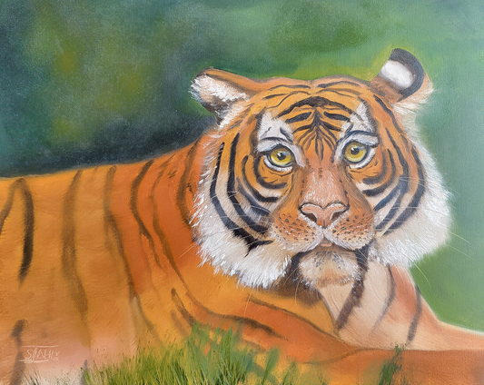 Malayan Tiger