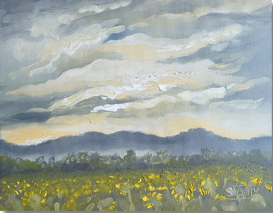 Sunflower Field