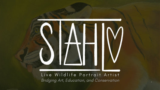 Live Wildlife Painting Pitch Deck