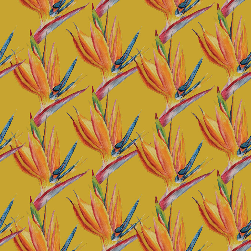 Birds of Paradise | Yellow
