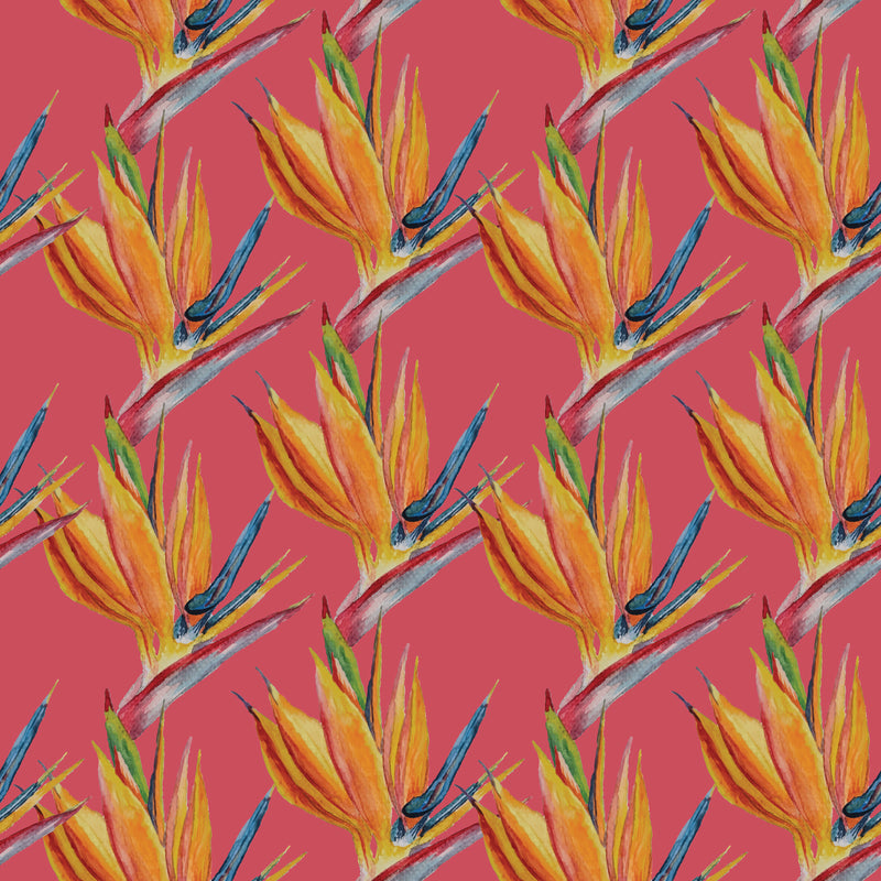 Birds of Paradise | Hot Pink