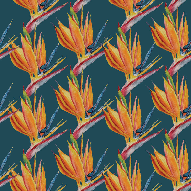 Birds of Paradise | Navy