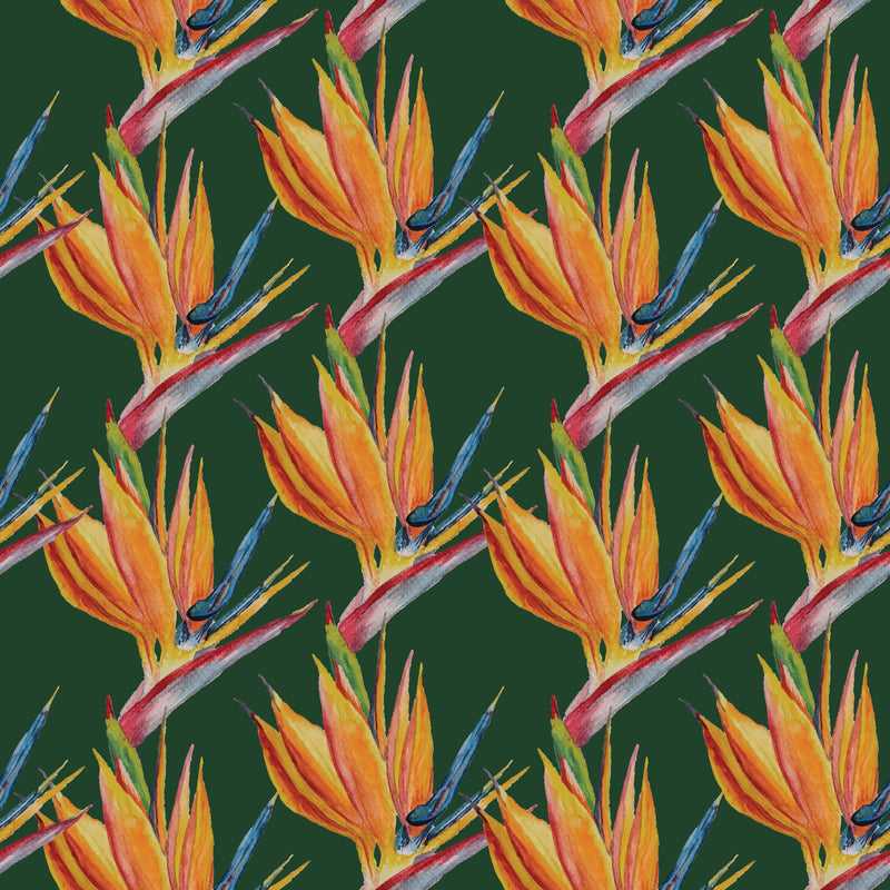 Birds of Paradise | Emerald