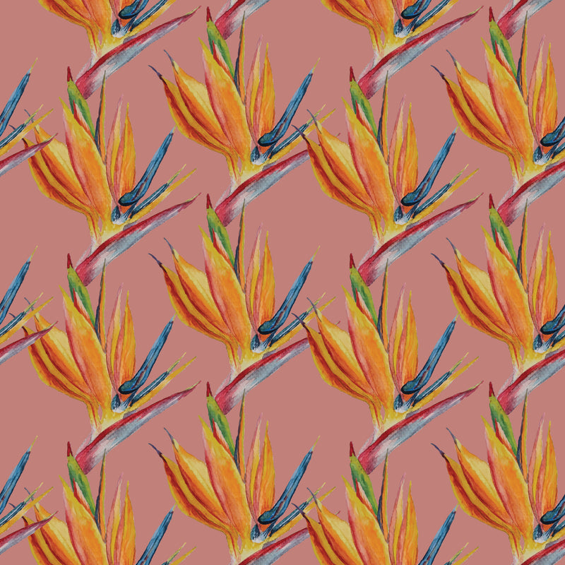 Birds of Paradise | Pink