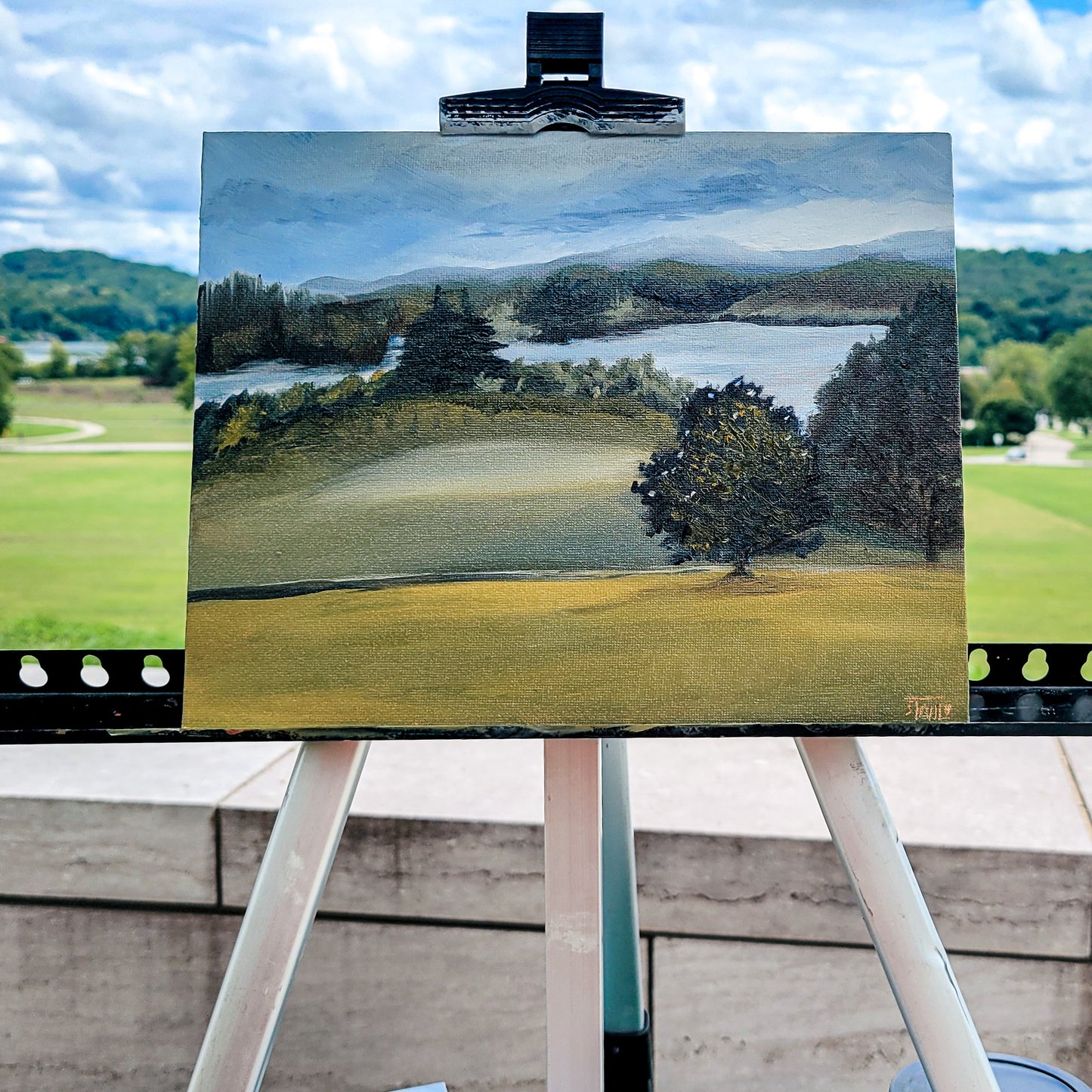 Lakeshore Park #2 Original Plein Air Oil Painting
