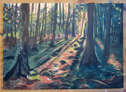 Forest Sunset Acrylic Painting